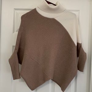 Turtleneck Sweater
